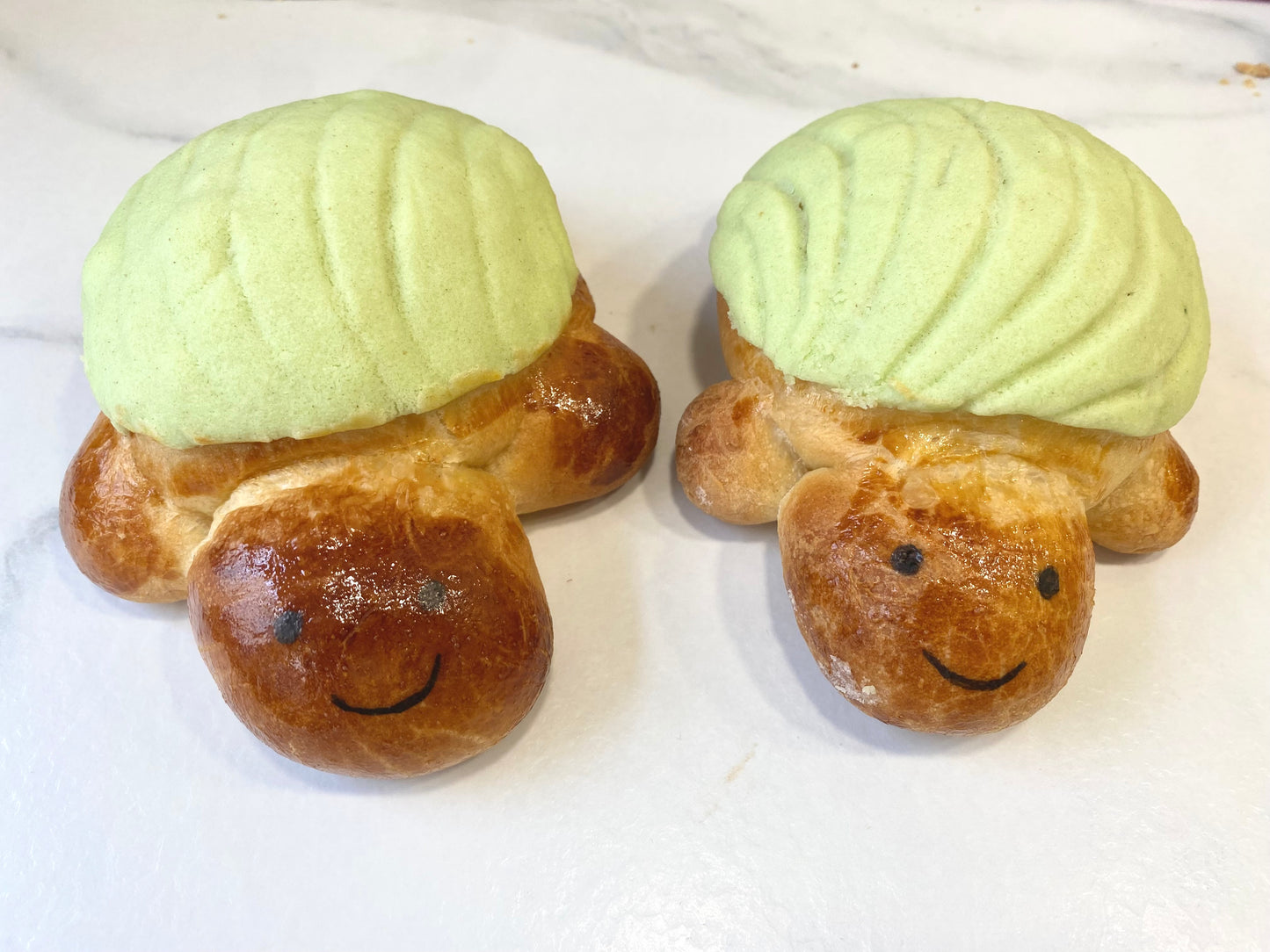 Conchas