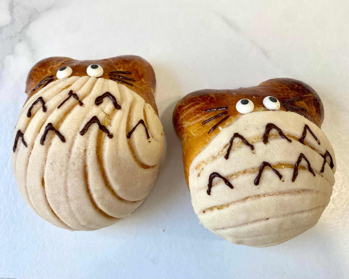Conchas
