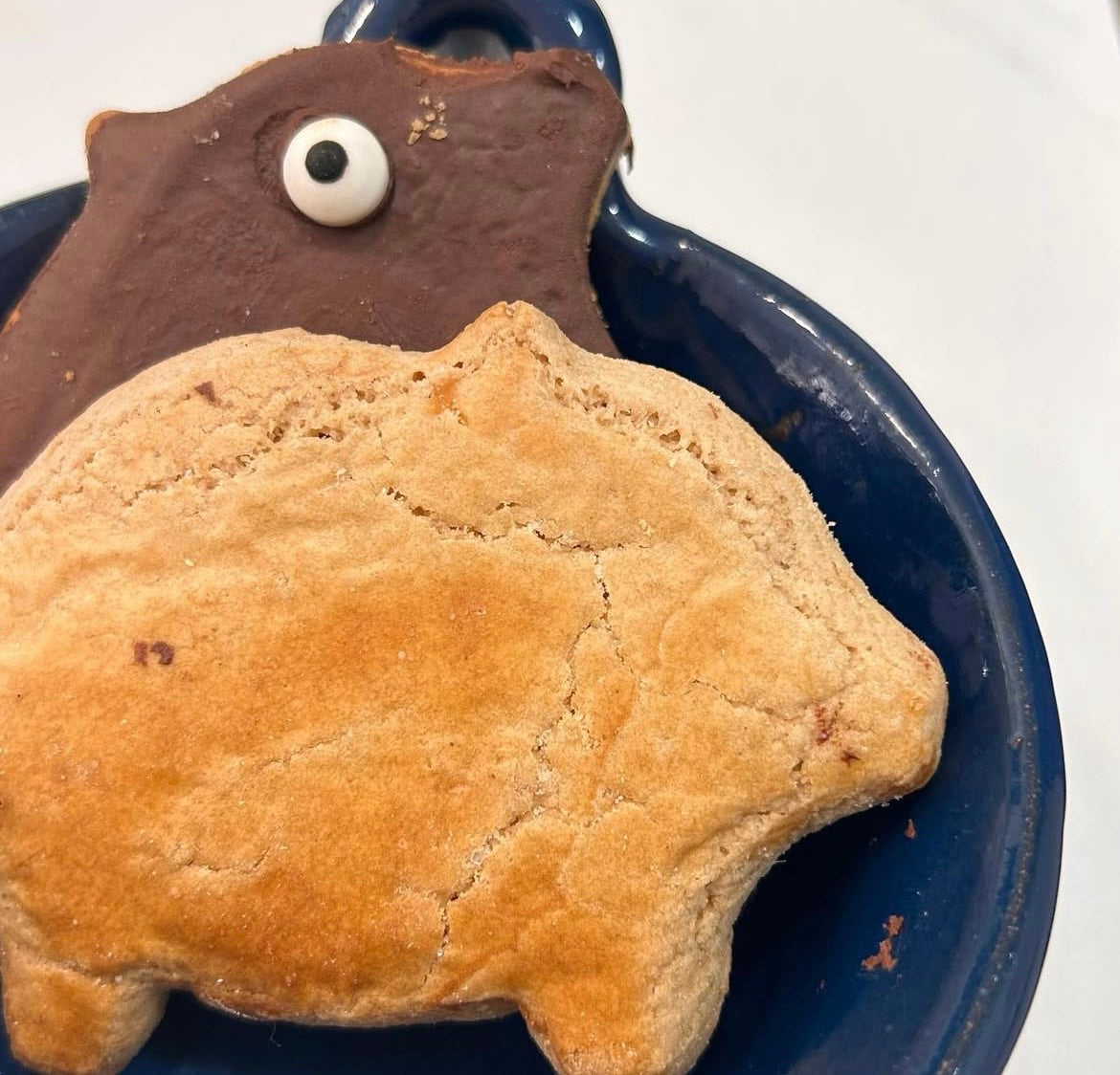 pan dulce mexicano, conchas, puerquitos, panadería tradicional mexicana, pan artesanal,boulangerie mexicaine, pain sucré mexicain, pâtisserie artisanale
